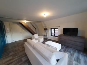 een woonkamer met een witte bank en een flatscreen-tv bij Appartement 2 pièces tout confort, aux portes de Colmar in Andolsheim