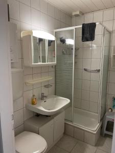 uma casa de banho com um lavatório, um chuveiro e um WC. em Ferienhaus "Vogelnest" em Berumbur