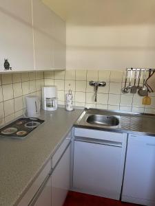 uma cozinha com um lavatório e uma bancada em Ferienhaus "Vogelnest" em Berumbur