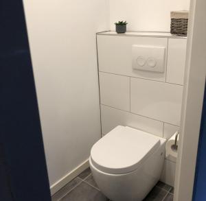 baño blanco con aseo y planta en Friesche Zusje, en Makkum