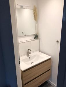 y baño con lavabo y espejo. en Friesche Zusje, en Makkum