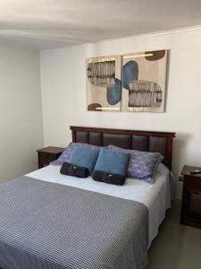 1 dormitorio con 1 cama grande con almohadas azules en Dpto excelente ubicación con estacionamiento incluido, en Antofagasta