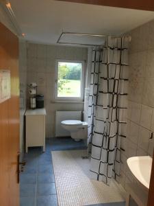 bagno con servizi igienici e finestra. di Ferienwohnung Adlerhorst a Lautertal