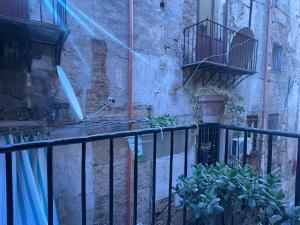 einen Balkon eines Gebäudes mit einer Pflanze in der Unterkunft Suite Mamo in Palermo