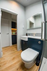 a bathroom with a toilet and a sink and a mirror at Lowfield Lodge & Hot Tub - Humberston Fitties Beach in Cleethorpes