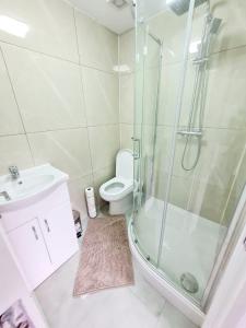 a bathroom with a shower and a toilet and a sink at Modern Luxurious New Build Entire 2 Bedroom Apartment in Basildon