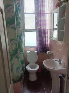 baño con aseo y lavabo y ventana en Alojamiento familiar rey, en Punta Arenas