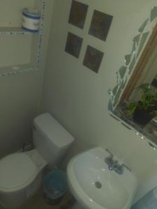 La salle de bains est pourvue de toilettes blanches et d'un lavabo. dans l'établissement Turtles Spot, à Las Vegas