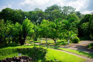 un camino a través de un parque con árboles y césped en Arenal Descanso, en Fortuna