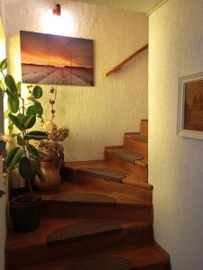 Bilde i galleriet til Apartments with a parking space Liznjan, Medulin - 11152 i Ližnjan