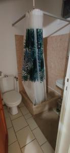 un bagno con un water e una tenda da doccia di Bungalow Touloulou (Mi) à 10mn à pieds des plages a Le Gosier Altre 16 foto