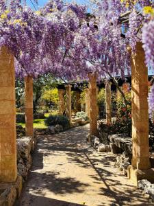 un jardín con glicinas púrpuras colgando sobre una pasarela en Masseria Borgo del Gallo, en Tricase