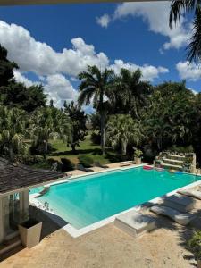 a large swimming pool with palm trees in the background at Villa Beach & Golf CASA DE CAMPO in La Romana