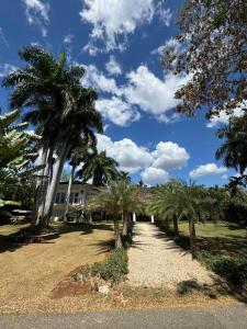 a row of palm trees in front of a house at Villa Beach & Golf CASA DE CAMPO in La Romana