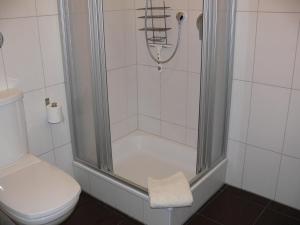 uma casa de banho com um chuveiro e um WC. em Business Flat Bahnhofstraße em Wiesbaden