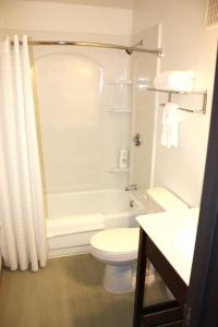 a bathroom with a toilet and a tub and a sink at Rewak Studios in Fairbanks