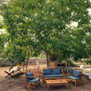 A garden outside Masseria Borgo del Gallo