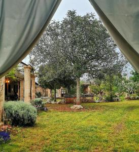 A garden outside Masseria Borgo del Gallo