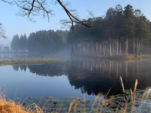 mgliste jezioro z drzewami w tle w obiekcie Koguriyama Sanso - Vacation STAY 43377v w mieście Minami Uonuma