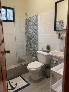 a bathroom with a toilet and a shower and a sink at Gloria’s Cozy Apartment in La Romana