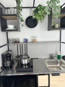 una cocina con fregadero y una barra con plantas en Nice and Cozy guest house 4 en Miami