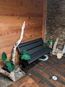 a bench sitting on a wooden floor with plants at Moon’s Place in Toa Baja