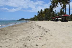 une plage de sable avec des palmiers et l'océan dans l'établissement Yatu Lau Lagoon Resort Fiji, à Pacific Harbour
