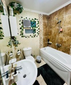 A bathroom at A room in a shared apartment in New Cairo, Al-Rehab