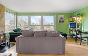 ein Wohnzimmer mit einem Sofa und einem Kamin in der Unterkunft Beautiful Home In Kalundborg With Kitchen in Kalundborg