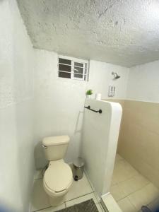 a white bathroom with a toilet and a window at Depa Santa María in Malinalco