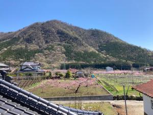 uma montanha à distância com um campo e árvores em B&B Ladies Only Grape mama Grape room - Vacation STAY 11649 em Koshu