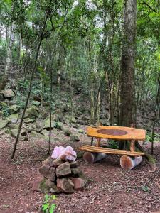 un banco de madera sentado en medio de un bosque en Bosque Shalom, en Frederico Westphalen