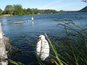 Paesaggio naturale nelle vicinanze del bed & breakfast
