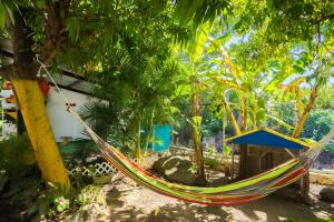 a hammock tied to a tree in a garden at Posada stoy in Bahía Suroeste