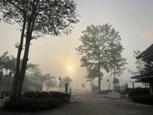 a foggy street with trees and the sun in the background at Sasidara Resort Nan in Nan