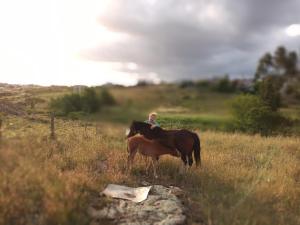 una persona montando un caballo en un campo en Casa de Campo El Duraznillo en Tandil