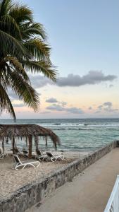 a beach with chairs and a palm tree and the ocean at Good Mood Studio - Manganao Hôtel in Saint-François