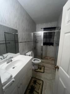 een badkamer met een wastafel, een douche en een toilet bij Hellshire Heights in Boscobel