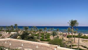 a view of a beach with palm trees and the ocean at Rental Apartment Sea View in Alexandria