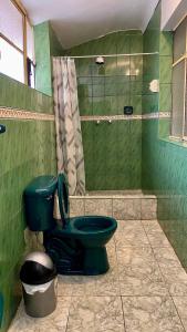 a green bathroom with a toilet and a shower at Templo de la Luna in Cusco