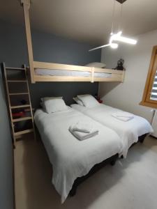 モルジヌにあるAppartement meublé classé 3 étoiles de 72 m2, 2 chambresの二段ベッド1組が備わるドミトリールームのベッド2台分です。