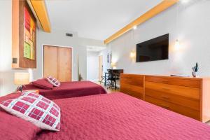 um quarto com 2 camas e uma televisão de ecrã plano em Charming Condo - European Vibe em Palm Coast