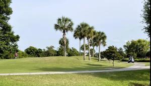 オーランドにあるStunning Ventura Condoの丘の上のヤシの木のあるゴルフコース