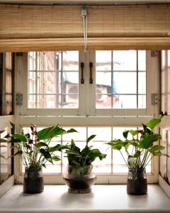 three potted plants sitting on a window sill at Old Quarter Centre Duplex 2BR w Netflix_Wifi in Hanoi