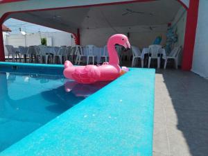 um flamingo rosa insuflável ao lado de uma piscina em alberca Blass em Coatzacoalcos