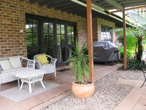 a patio with chairs and a plant in a pot at Warriwul Farmland Rural Retreat BnB, Curramore/Jamberoo in Jamberoo