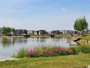 vistas a un lago con casas y flores en Modern chalet at the edge of a forest, en Wemeldinge