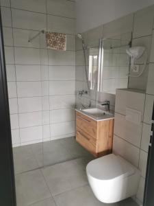 a bathroom with a toilet and a sink and a shower at Tarasy Anastazewa in Anastazewo +40 photos