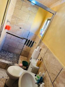a bathroom with a shower and a toilet and a sink at Eliza Guest House in Empangeni