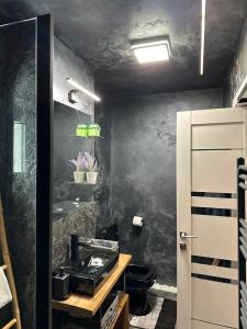 La salle de bains est pourvue d'un lavabo et d'un mur noir. dans l'établissement CassaTa-one-Vaslui, à Vaslui